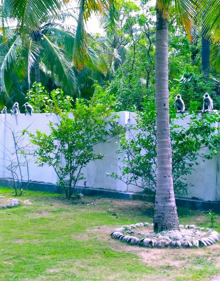 Pearl Oceanic Resort - Trincomalee Exterior photo